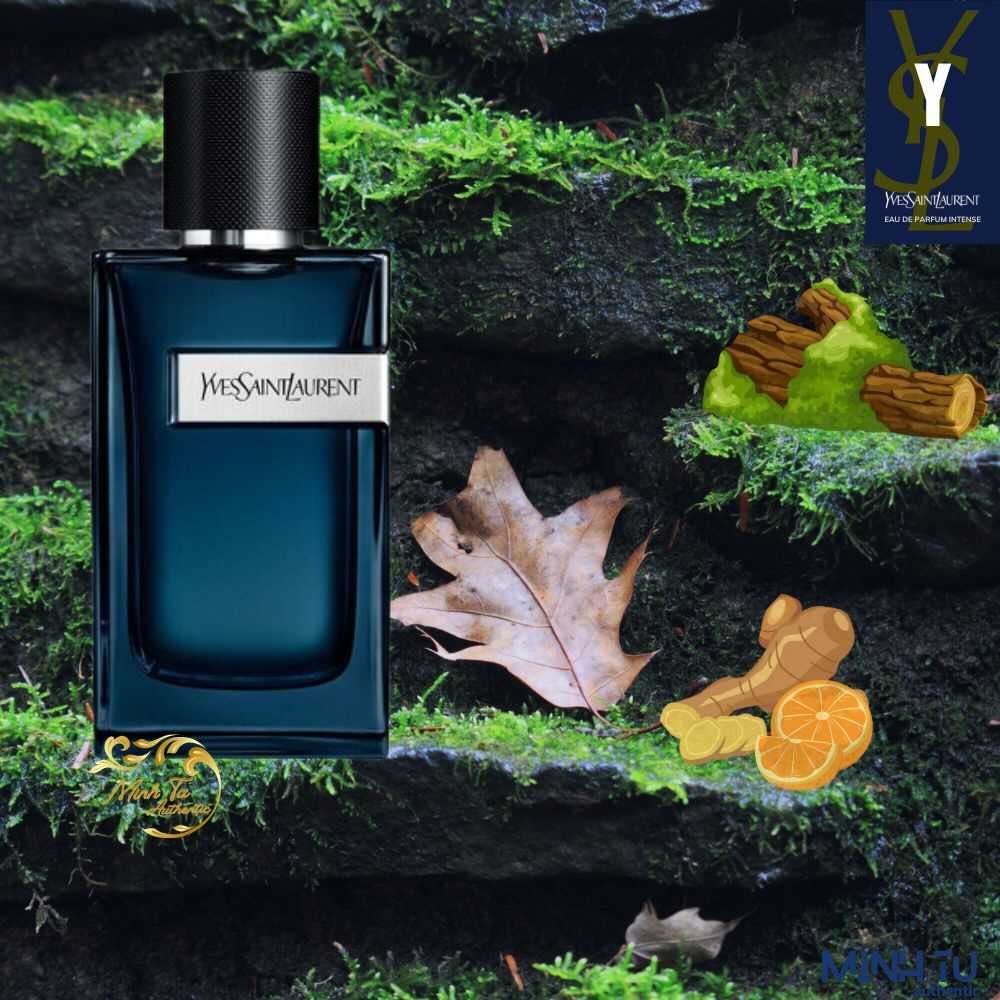 YSL Y EDP Intense